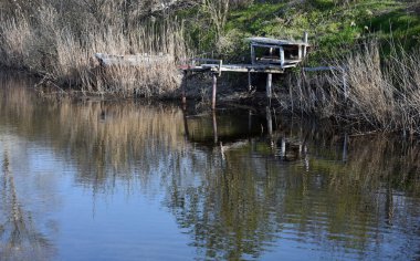 Suyun kenarındaki nehir manzarasında sazlıklar