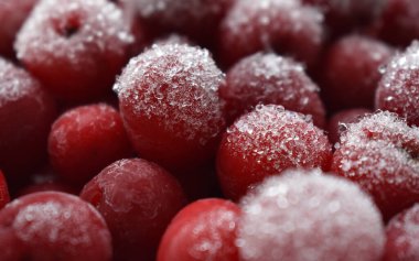 Donmuş kiraz. Yakın plan.