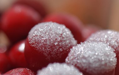 Donmuş kiraz. Yakın plan.