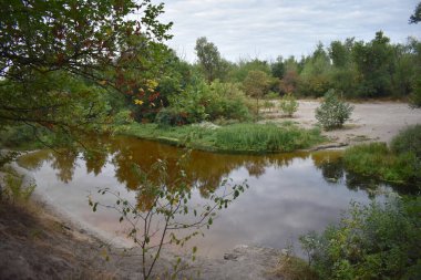 Bulutlu bir günde göl ve orman