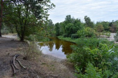 Bulutlu bir günde göl ve orman
