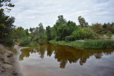 Bulutlu bir günde göl ve orman