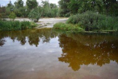 Bulutlu bir günde göl ve orman