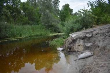 Bulutlu bir günde göl ve orman