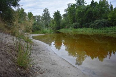 Bulutlu bir günde göl ve orman