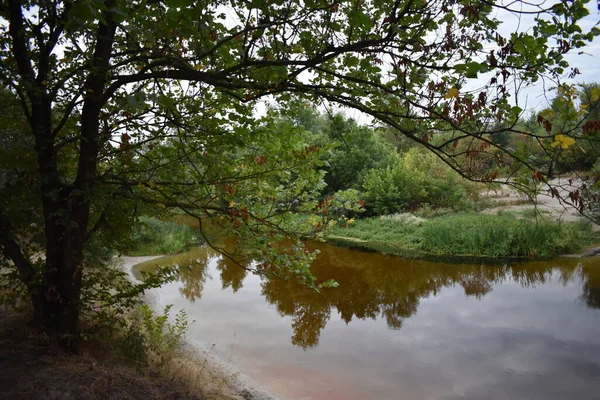 Bulutlu bir günde göl ve orman