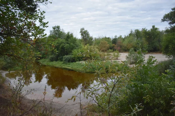 Bulutlu bir günde göl ve orman