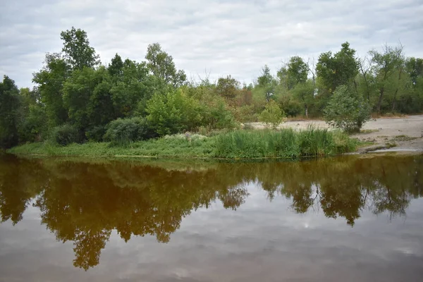 Bulutlu bir günde göl ve orman