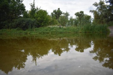 Bulutlu bir günde ormandaki göl