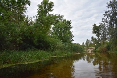 Bulutlu bir günde ormandaki göl