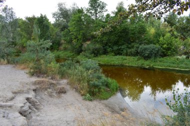 Bulutlu bir günde ormandaki göl