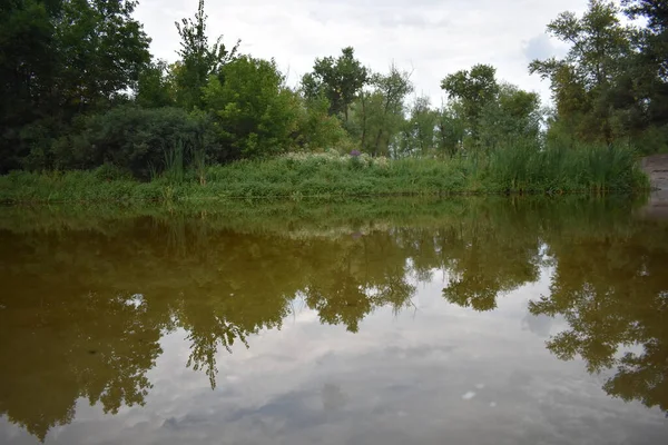 Bulutlu bir günde ormandaki göl