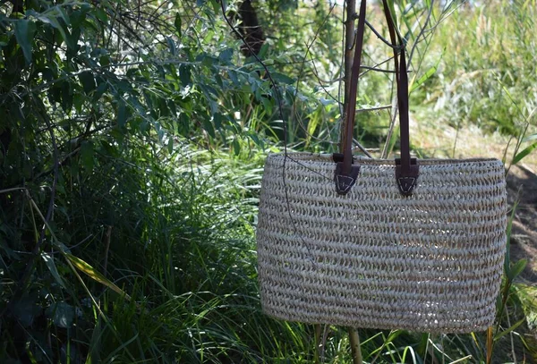 Senhora Bolsa Mão Floresta — Fotografia de Stock