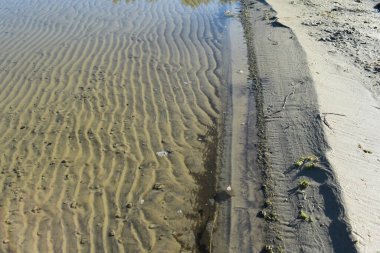 Kumsalda kum dalgaları