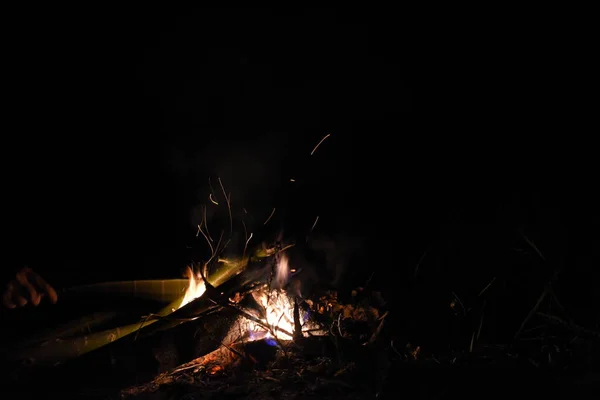 Campfire Night Long Flame Sparks Royalty Free Stock Images