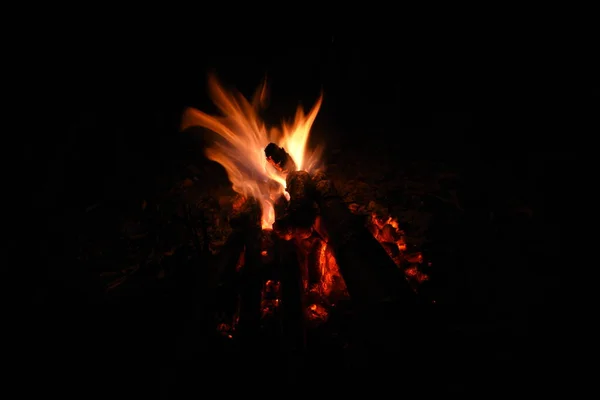 Fogueira Noite Com Chama Longa Faíscas Imagem De Stock