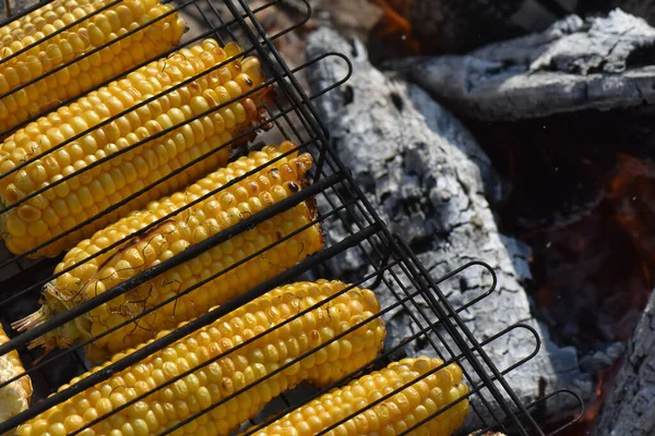 Corn Grill Forest — Stock Photo, Image