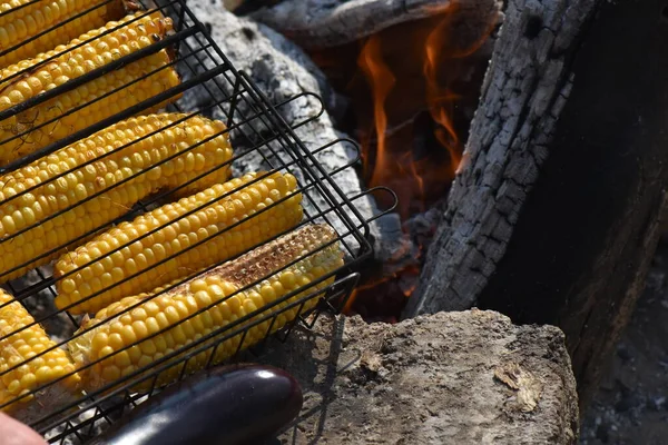 Corn Grill Forest — Stock Photo, Image
