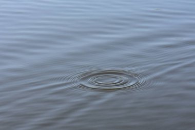 Su, suyun yüzeyinde dalgalanır. Sığ alan derinliği