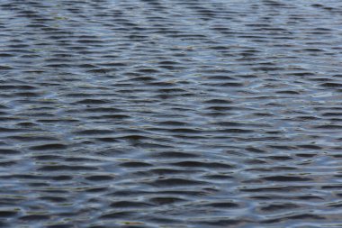 Su, suyun yüzeyinde dalgalanır. Sığ alan derinliği