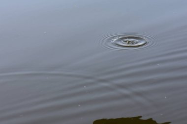 Su, suyun yüzeyinde dalgalanır. Sığ alan derinliği