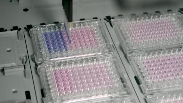 In a futuristic laboratory, a scientist analyzes a colored liquid to extract the DNA and molecules in the test tubes.Concept:research,biochemistry,immersive technology,augmented reality — Stock Video