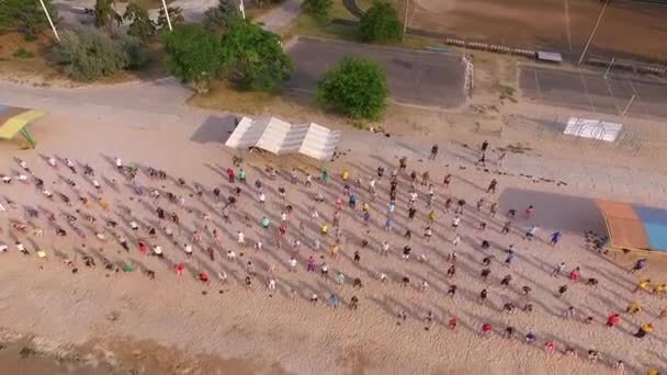 Eine Gruppe von dreihundert Leuten macht Kniebeugen am Schwarzen Meer. Gruppensport am Strand. Gesunder Lebensstil. Luftbild — Stockvideo