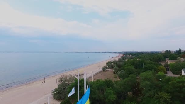 Στα αριστερά είναι η θάλασσα, στα δεξιά είναι πυκνά δέντρα, και στο κέντρο είναι η σημαία της Ουκρανίας. Το quadcopter κατεβαίνει αργά από πάνω προς τα κάτω — Αρχείο Βίντεο