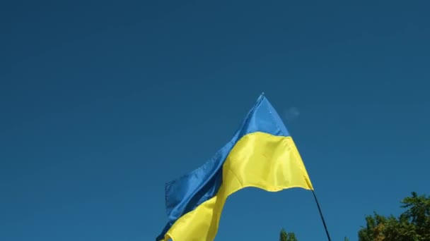 Bandera de Ucrania ondeando en el viento con un fondo de cielo azul. Grabación 1080p. Vídeo. Full hd — Vídeo de stock