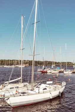 Rusya 'nın St. Petersburg limanında güzel bir yelkenli tekne duruyor. Mavi gökyüzü. Köprü, bir sürü tekne ve yat. Yaz