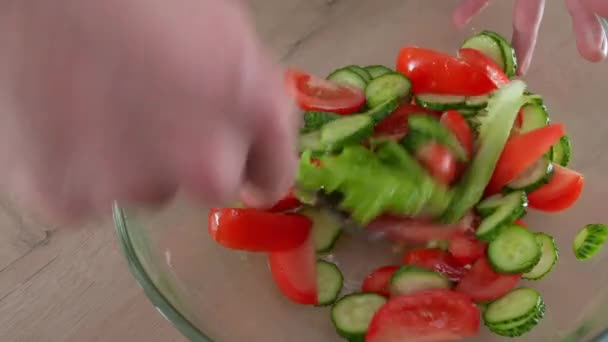 Cuocere versa un'insalata fresca di pomodoro e cetrioli verdi con olio da cucina. Insalata di verdure fresche. Note di alimentazione. Lavorazione alimentare. Full HD — Video Stock