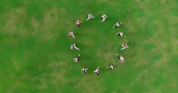Группа молодых танцоров танцует бачату на большой зеленой лужайке. Танцоры выстраиваются в круг и вращаются. Парни держат девочек на руках. Вид с воздуха. 4K Footage — стоковое видео