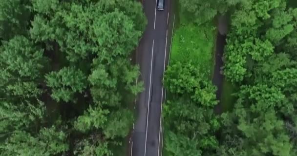 Dron top view kamera sledování černé auto jízdy velmi rychle na prázdné dálnici podél zamračeného podzimního lesa na atmosférické cesty. Letecký pohled. Záběry 4K — Stock video