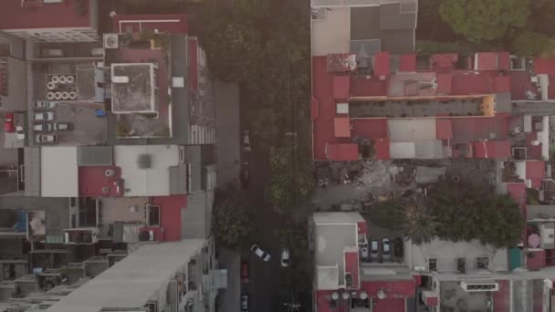 Vista Aérea Una Calle Vacía Barrio Condesa Vista Aérea Ciudad — Vídeos de Stock