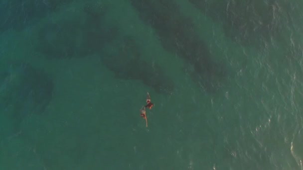 Вид Воздуха Двух Девушек Плавающих Океане Девственном Пляже Вид Воздуха — стоковое видео