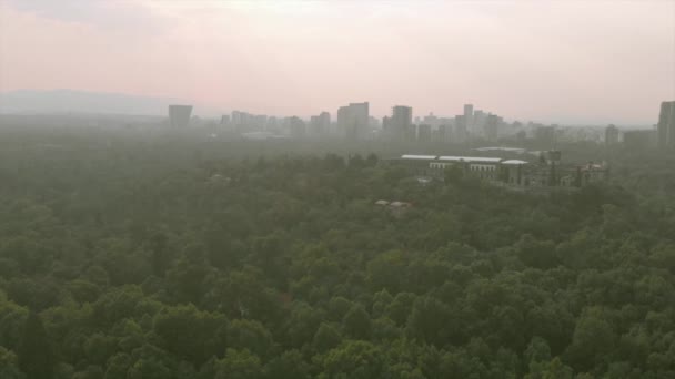 Aerial View Pollution Mexico City Chapultepec Forest — Stock Video