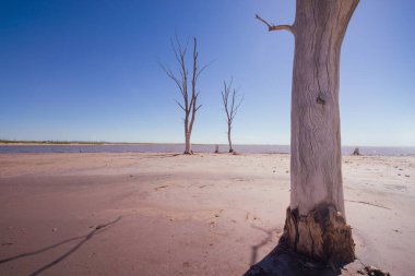 Terk edilmiş bir kasaba. Epecun hayalet kasabasında sel tarafından terk edilmiş bir şehir. Göldeki ölü ağaçlar ve yıkılmış evleri. Çöl manzarası.