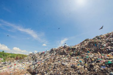 Çöplükte bir yığın ev çöpü var. Belediyenin atık sahalarındaki çöpler, kirlilik sorunları.