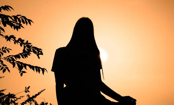 Silhouette Eines Langhaarigen Mädchens Vor Dem Hintergrund Des Sommerlichen Sonnenuntergangs — Stockfoto