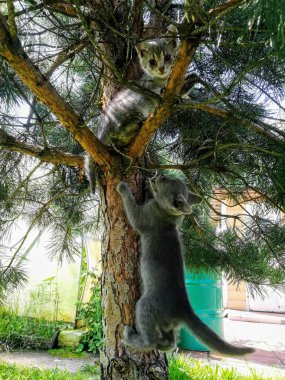 Çocuklar etraflarındaki dünyayı bilir.