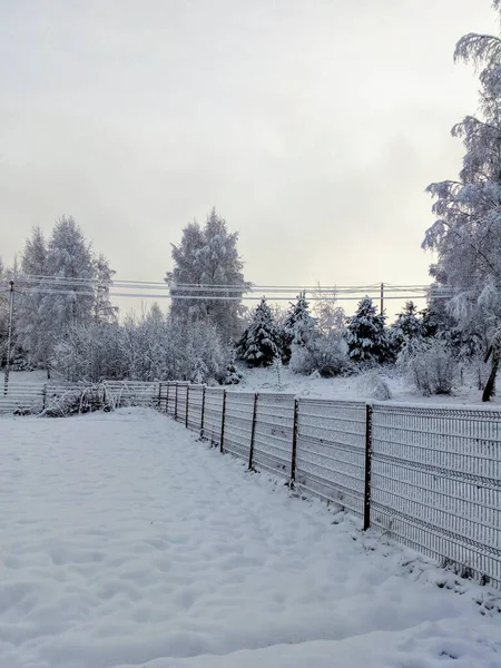 Şubat 'ta karlı bir köyde sabahın erken saatlerinde