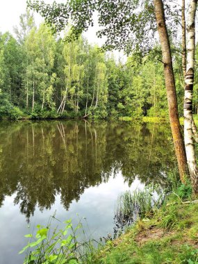 Belarus 'taki büyüleyici orman gölü