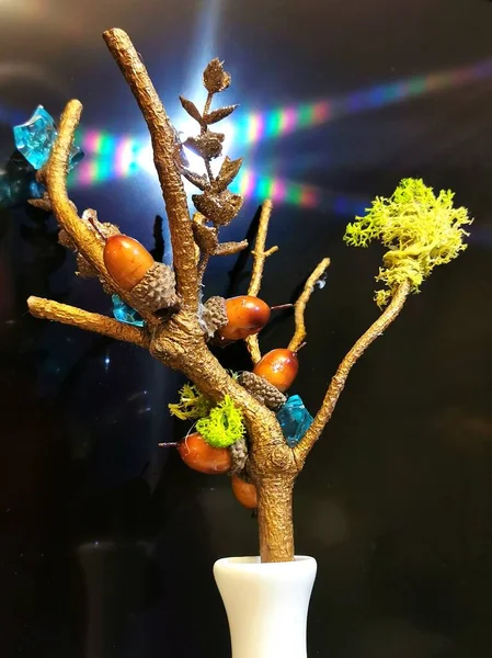 乾燥松の枝から秋の工芸品 — ストック写真