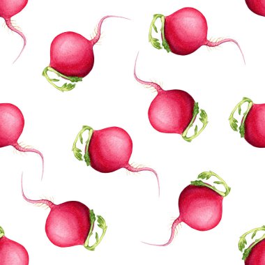 Beyaz arka planda dikişsiz suluboya sebze deseni. Turp gerçekçi bir şekilde boyanmış..