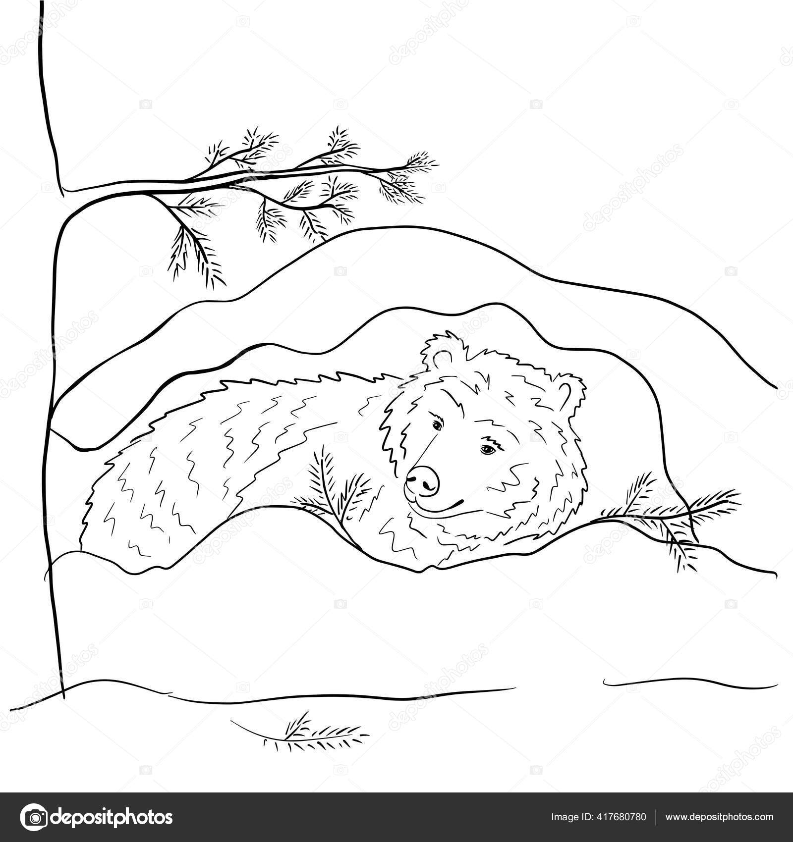 Hand Drawn Outline Illustration Bear Den Winter Vector Illustration