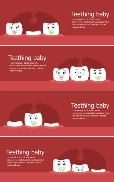 Tandsprickning baby flygblad med tänder — Stock vektor
