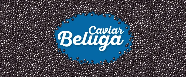 Beluga banner caviar no estilo dos desenhos animados — Vetor de Stock