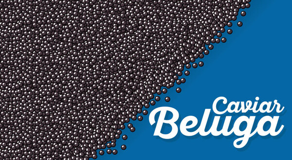 Beluga caviar banner in cartoon style