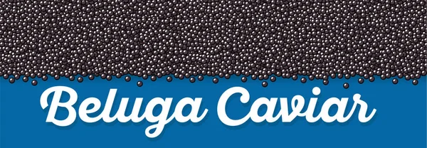 Banner de caviar Beluga en estilo de dibujos animados — Vector de stock