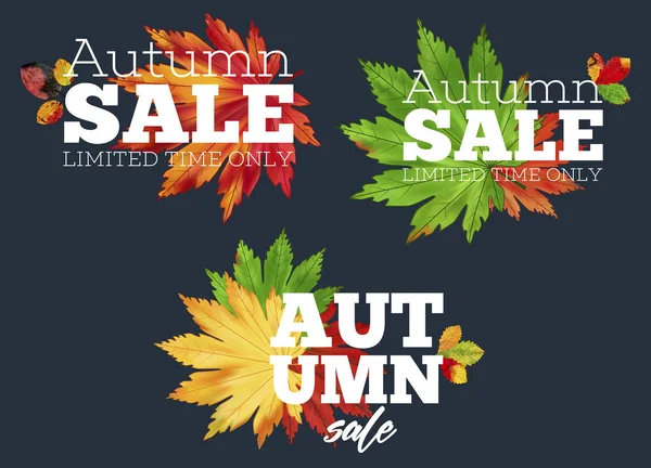 Banner de venda com folhas de outono sazonais coloridas — Vetor de Stock